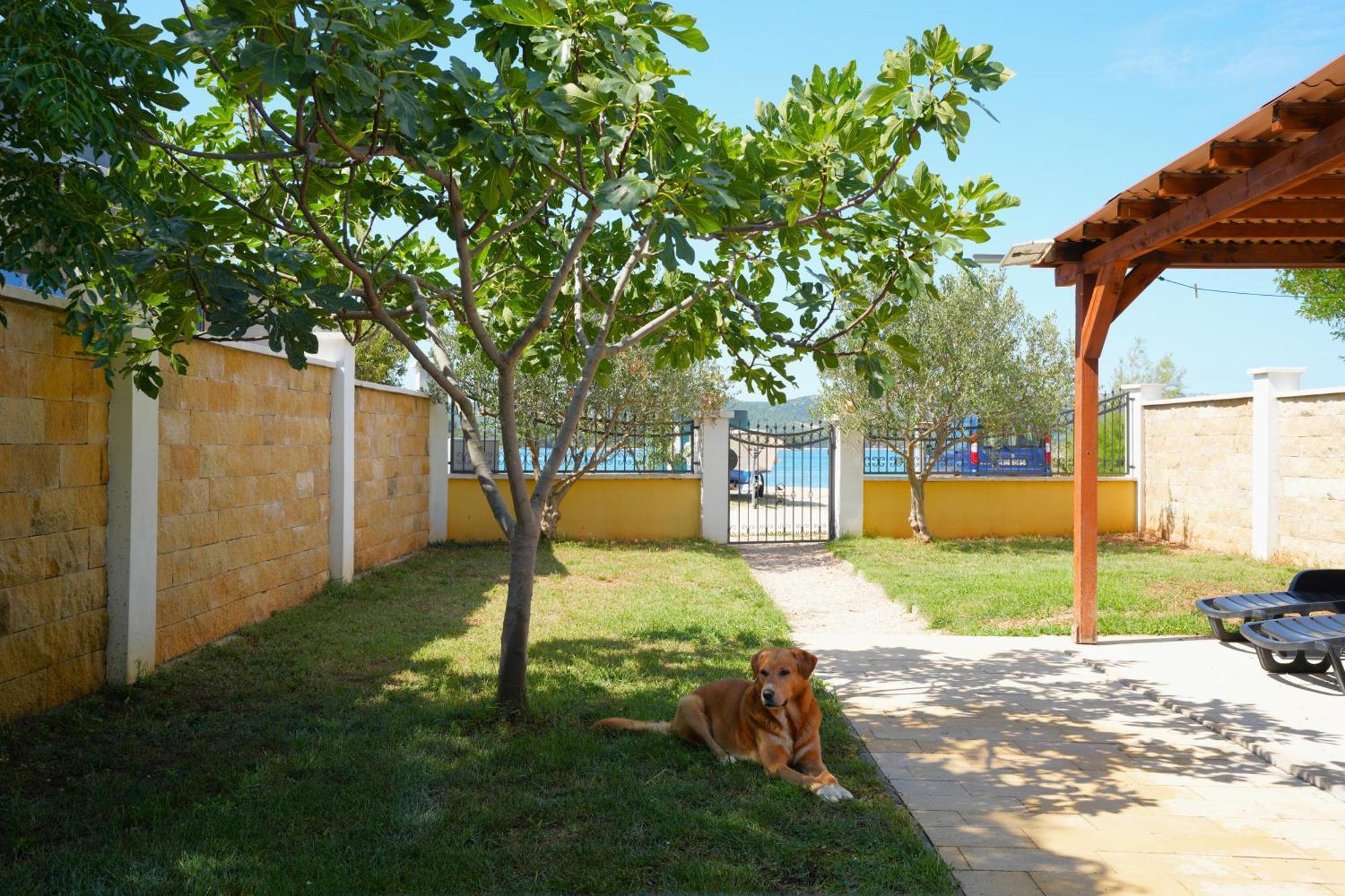 Holiday Home - Beach House 'Amarella' Turanj Ngoại thất bức ảnh